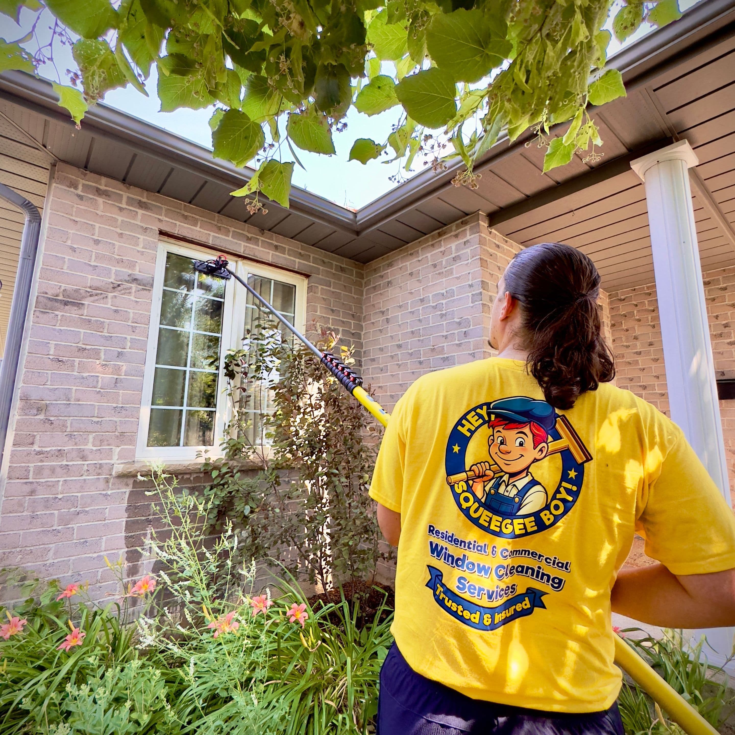 Window cleaning Hamilton ON